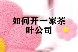 如何开一家茶叶公司