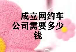成立网约车公司需要多少钱