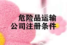 危险品运输公司注册条件