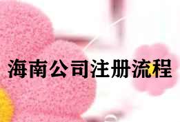 海南公司注册流程