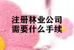 注册林业公司需要什么手续