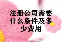 注册公司需要什么条件及多少费用