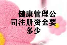 健康管理公司注册资金要多少