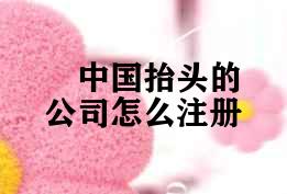 中国抬头的公司怎么注册