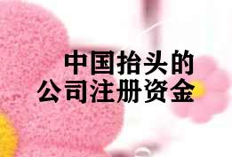中国抬头的公司注册资金