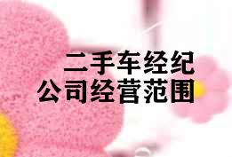 二手车经纪公司经营范围