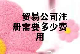 注册公司贸易公司注册需要多少费用