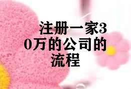 注册一家30万的公司的流程