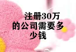 注册30万的公司需要多少钱