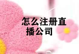 怎么注册直播公司