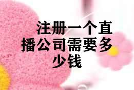 注册一个直播公司需要多少钱