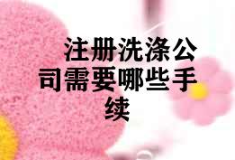 注册洗涤公司需要哪些手续
