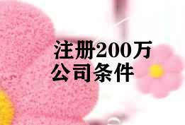 注册200万公司条件