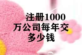 注册1000万公司每年交多少钱