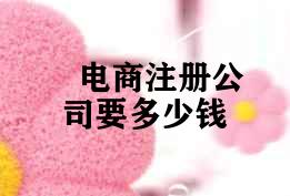 电商注册公司要多少钱