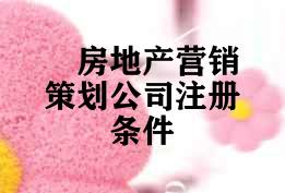 房地产营销策划公司注册条件