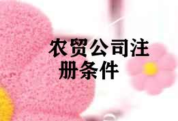 农贸公司注册条件