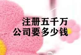 注册五千万公司要多少钱