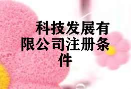 科技发展有限公司注册条件