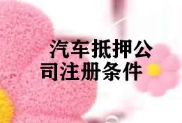 汽车抵押公司注册条件