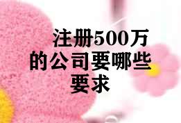 注册500万的公司要哪些要求