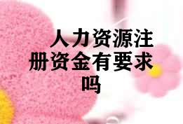 人力资源注册资金有要求吗