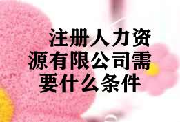 注册人力资源有限公司需要什么条件