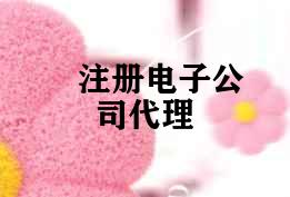 注册电子公司代理