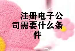 注册电子公司需要什么条件