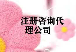 注册咨询代理公司