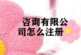 咨询有限公司怎么注册