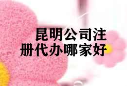 昆明公司注册代办哪家好