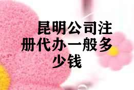 昆明公司注册代办一般多少钱