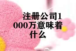 注册公司1000万意味着什么
