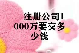 注册公司1000万要交多少钱