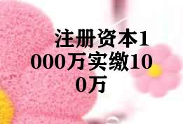 注册资本1000万实缴100万