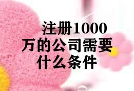 注册1000万的公司需要什么条件