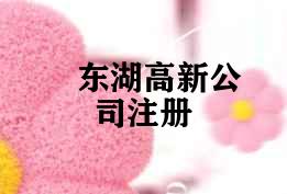 东湖高新公司注册