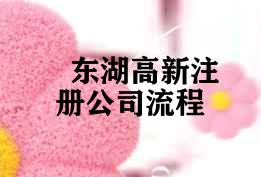 东湖高新注册公司流程