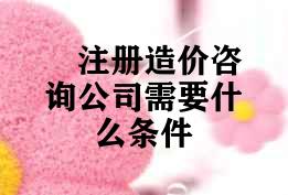 注册造价咨询公司需要什么条件