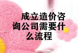 成立造价咨询公司需要什么流程