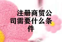 注册商贸公司需要什么条件