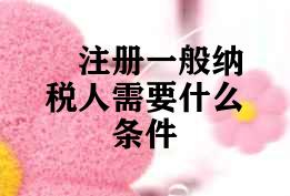 注册一般纳税人需要什么条件