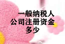 一般纳税人公司注册资金多少