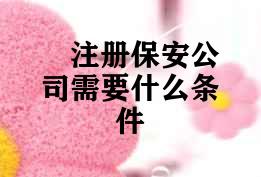 注册保安公司需要什么条件