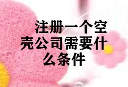 注册一个空壳公司需要什么条件 注册一个空壳公司需要什么条件