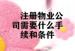 注册物业公司需要什么手续和条件 注册物业公司需要什么手续和条件
