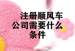 注册顺风车公司需要什么条件 注册顺风车公司需要什么条件