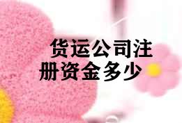 货运公司注册资金多少 货运公司注册资金多少