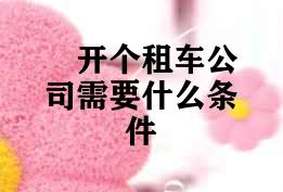 开个租车公司需要什么条件